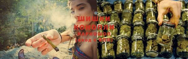 крисы Балабаново