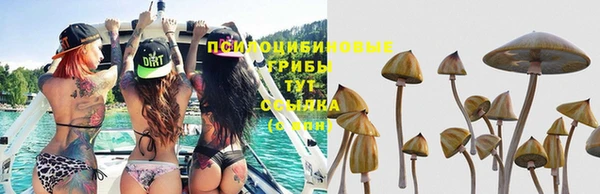 мескалин Баксан